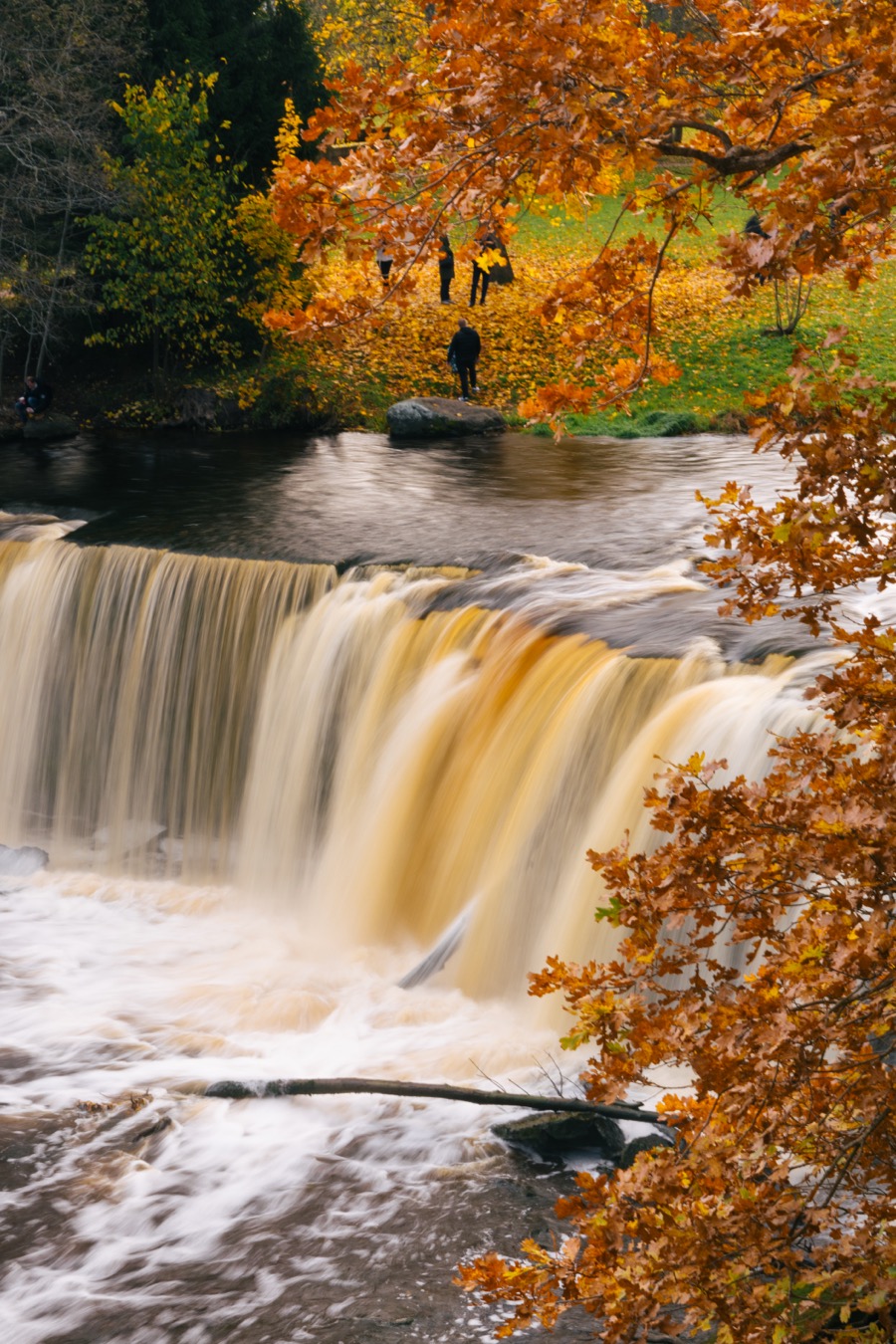 Tallinn and Keila-Joa in autumn colors. October 2025.