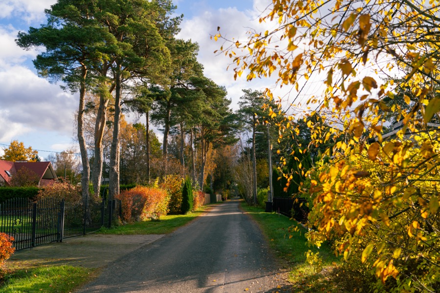 Tallinn and Keila-Joa in autumn colors. October 2025.