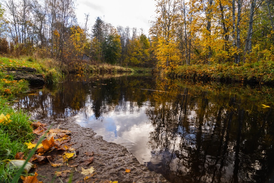 Tallinn and Keila-Joa in autumn colors. October 2025.