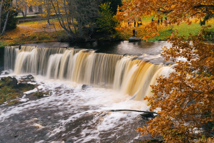 Tallinn and Keila-Joa in autumn colors. October 2025.