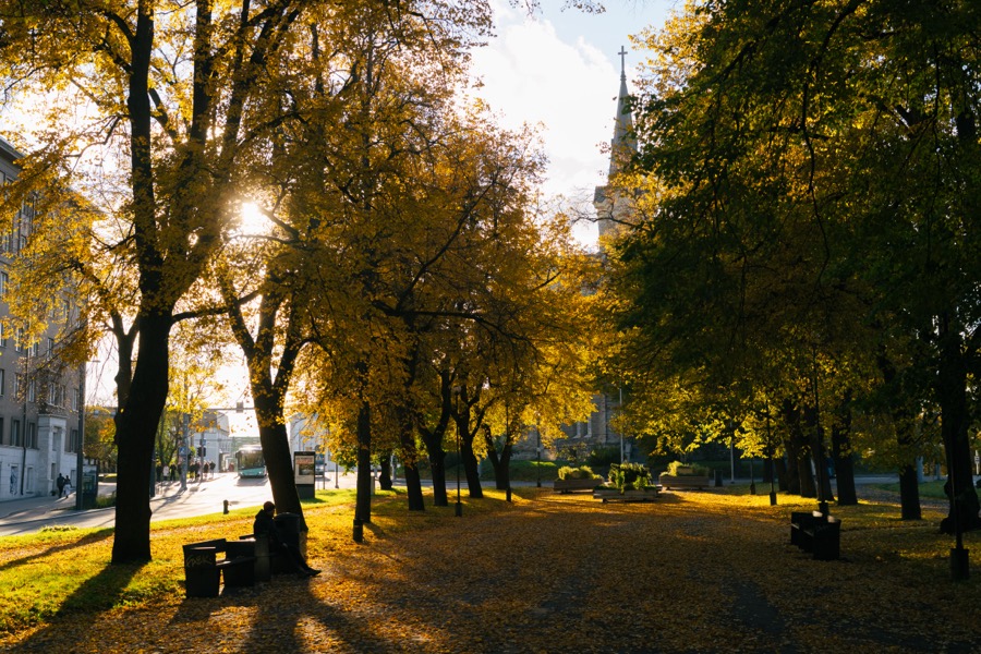 Tallinn and Keila-Joa in autumn colors. October 2025.