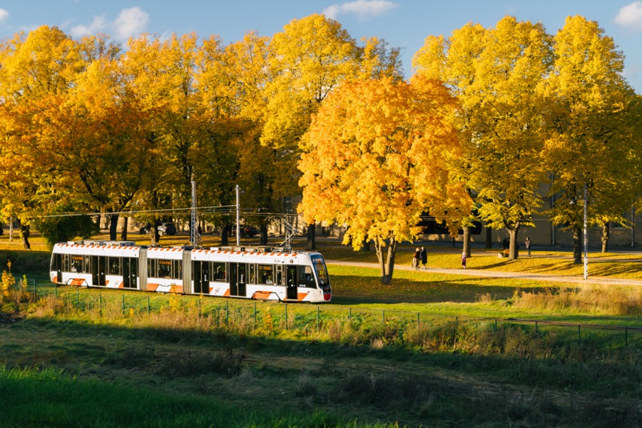 Tallinn and Keila-Joa in autumn colors. October 2025.