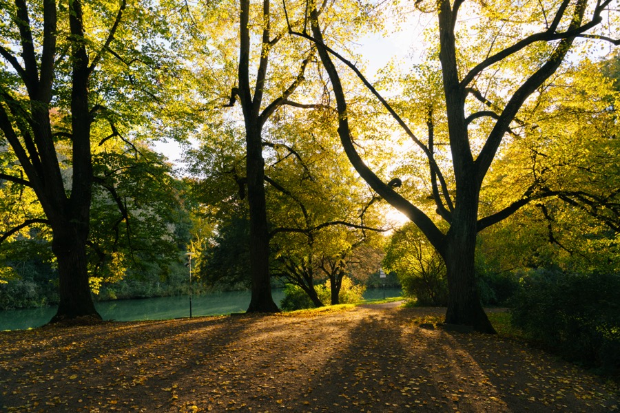 Tallinn and Keila-Joa in autumn colors. October 2025.