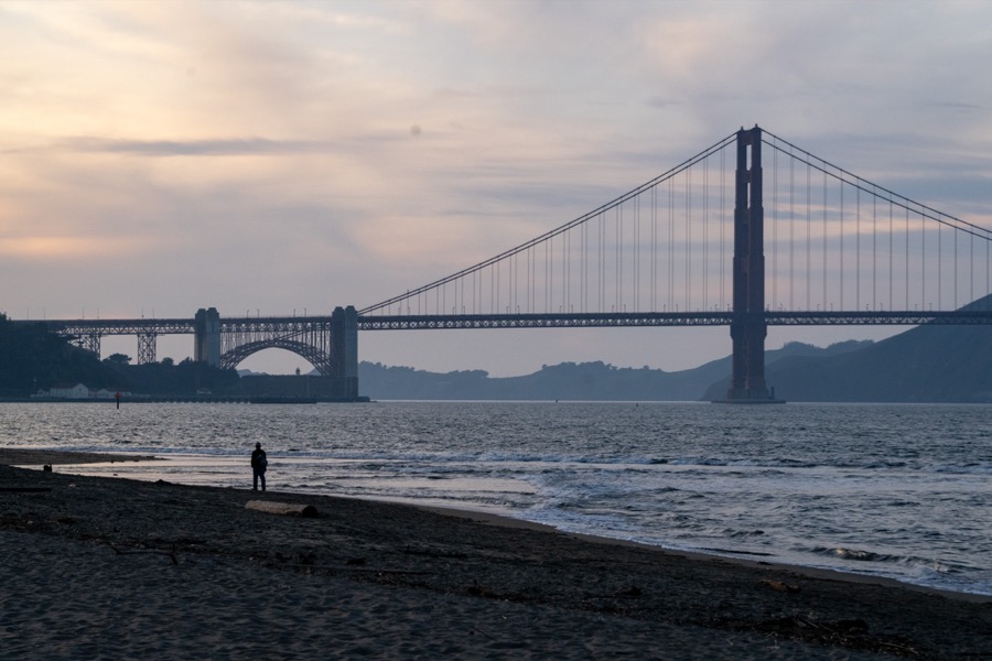 SF, Berkeley, Muir Woods & Overlook. January 2026.