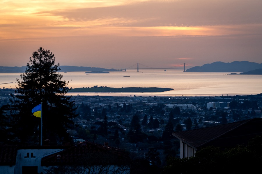 SF, Berkeley, Muir Woods & Overlook. January 2026.