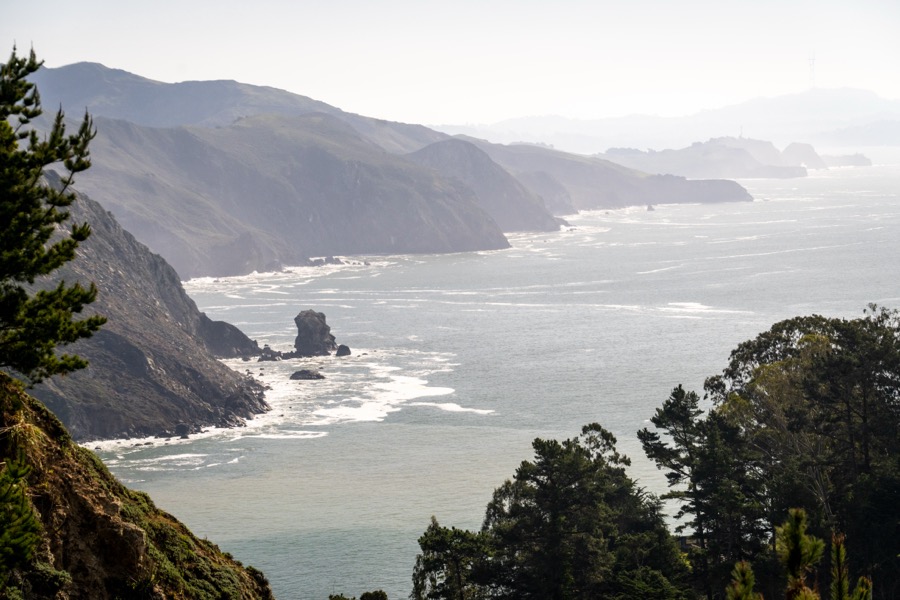 SF, Berkeley, Muir Woods & Overlook. January 2026.