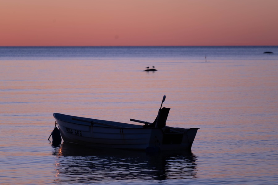 Classic Estonian sunset vibes. Paldiski & Kakumäe. April 2026.