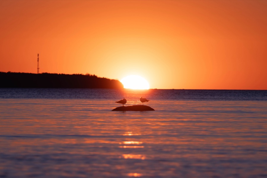 Classic Estonian sunset vibes. Paldiski & Kakumäe. April 2026.