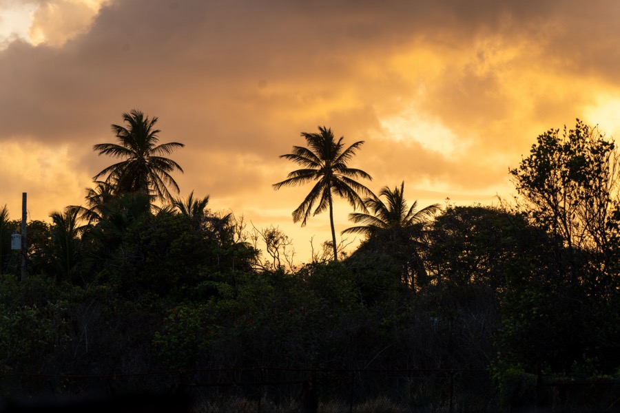 Barbados. May 2026.